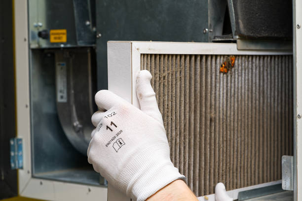 Best HVAC Air Duct Cleaning  in Ellicott City, MD
