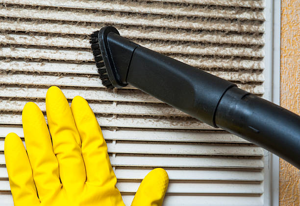 Best Professional Duct Cleaning Services  in Ellicott City, MD